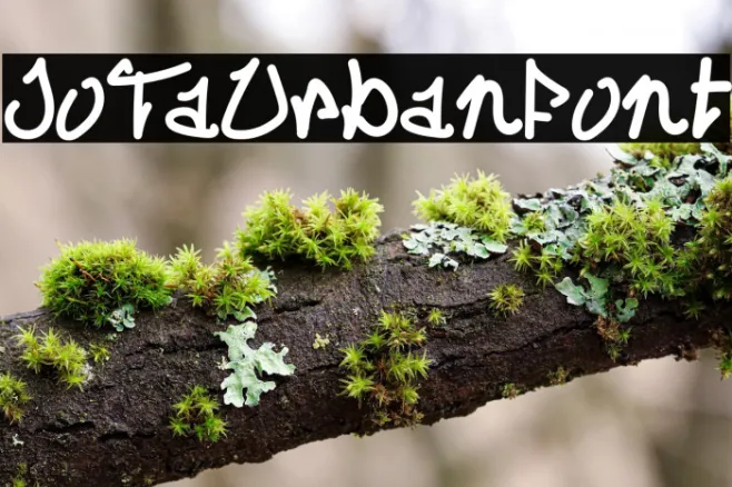 JoTaUrbanFont Example 1