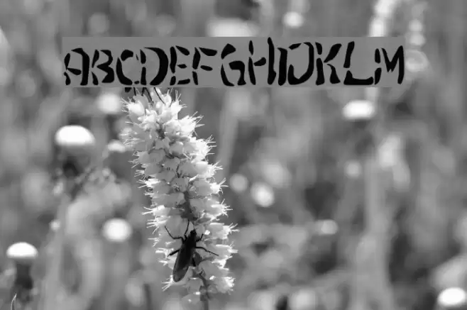 Joachim Kroll Font examples