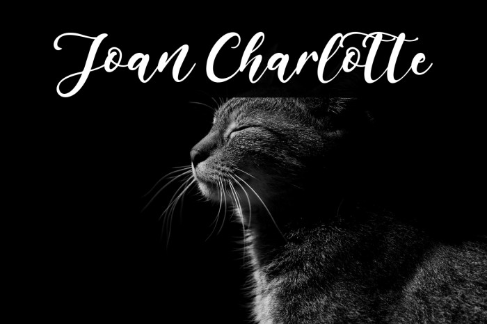 Joan Charlotte Example 2