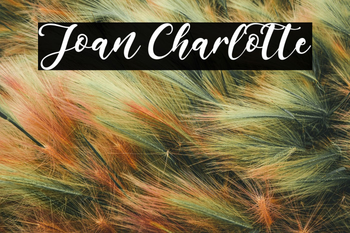 Joan Charlotte Example 3