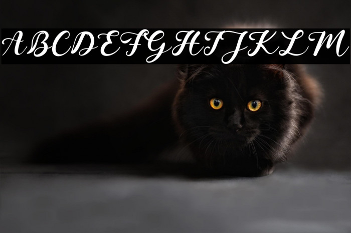 JoanCharlotte Example 1