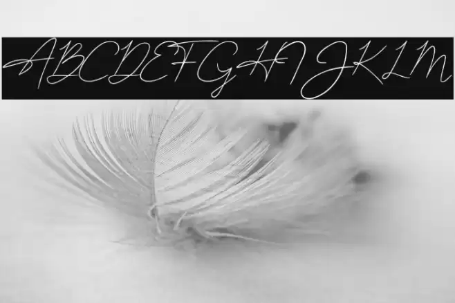 JoanHull Font examples