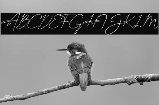 JoanHull Font examples