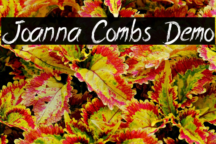 Joanna Combs Demo Example 3