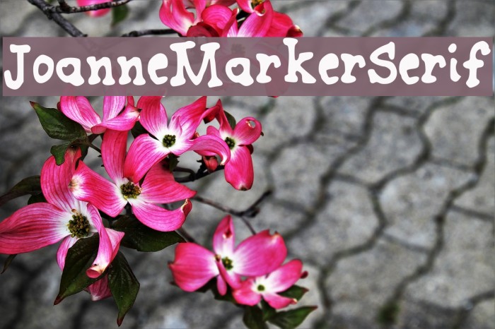 JoanneMarkerSerif फ़ॉन्ट examples