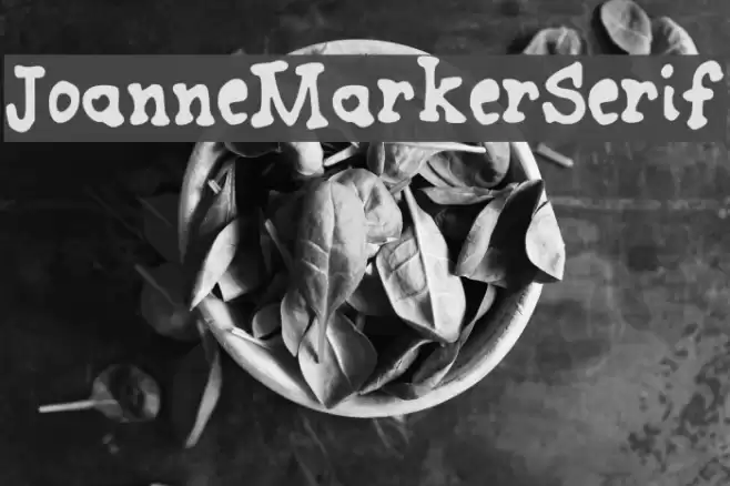 JoanneMarkerSerif Font examples