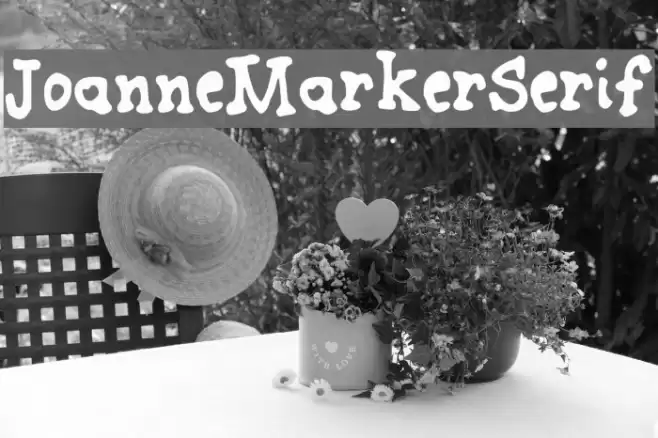 JoanneMarkerSerif Font examples