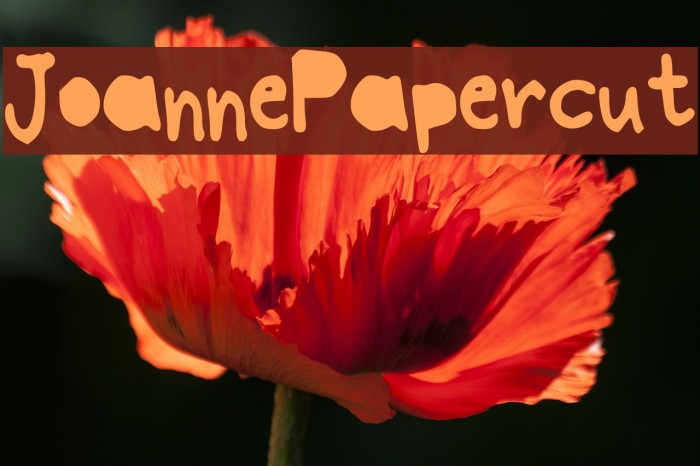 JoannePapercut Font examples