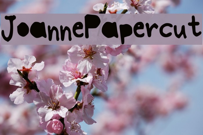 JoannePapercut Font examples