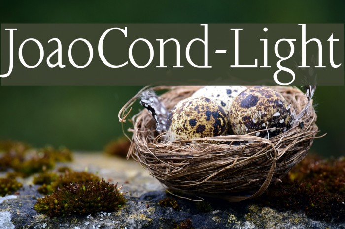 JoaoCond-Light Font examples