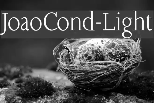 JoaoCond-Light Шрифта examples