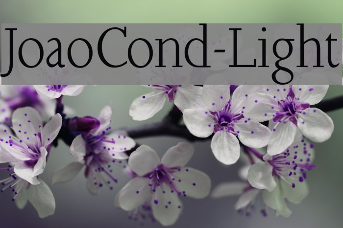 JoaoCond-Light Font examples