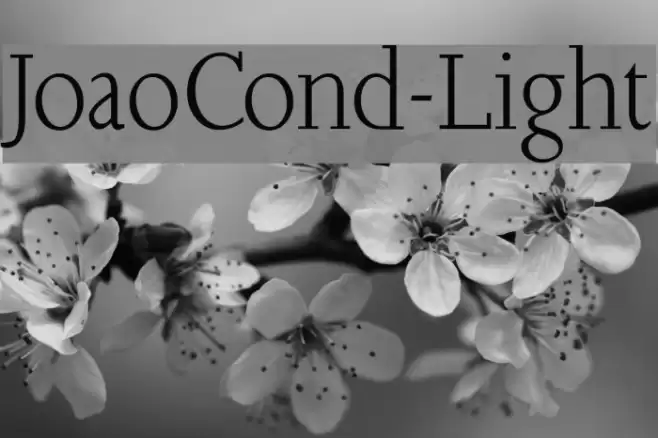 JoaoCond-Light Шрифта examples