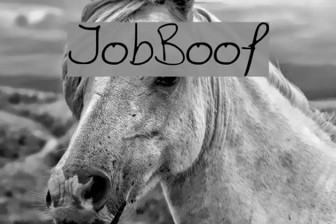 JobBoof Font examples