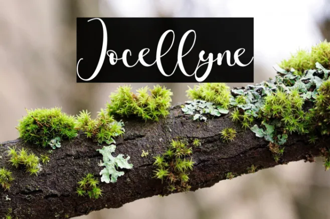 Jocellyne Example 1