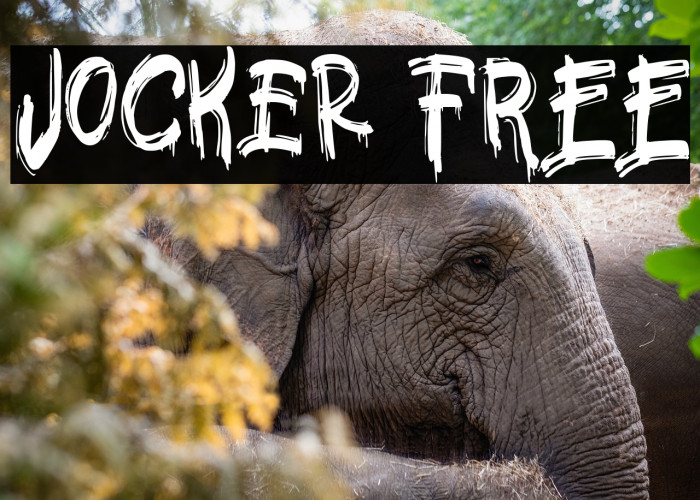 Jocker FREE Example 1