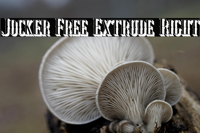 Jocker Free Extrude Right Example 3