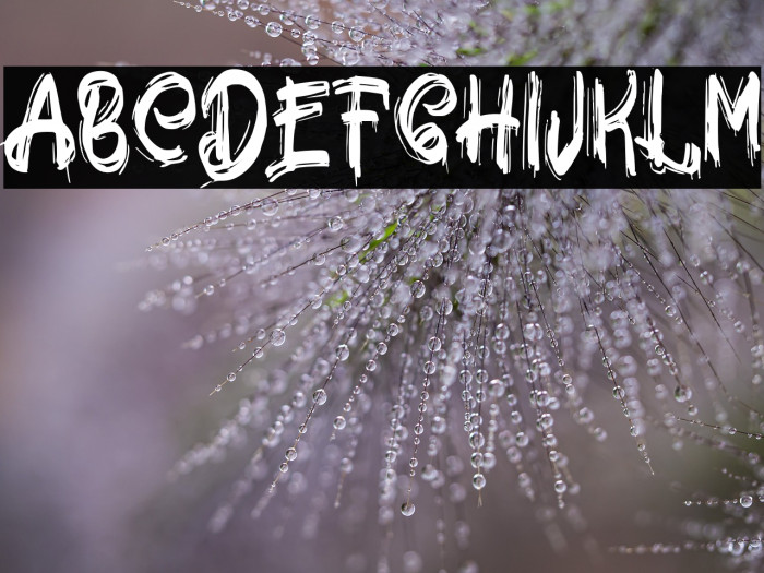 JockerFREE Example 1