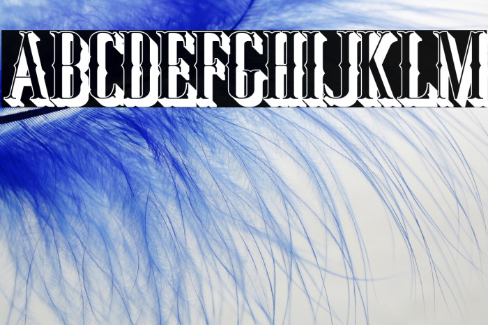 JockerFree-ExtrudeRight Example 2