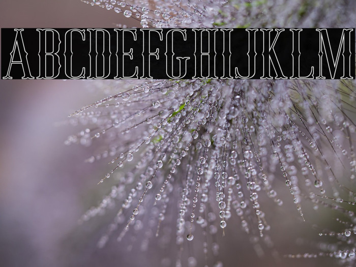 JockerFree-Outline Example 3