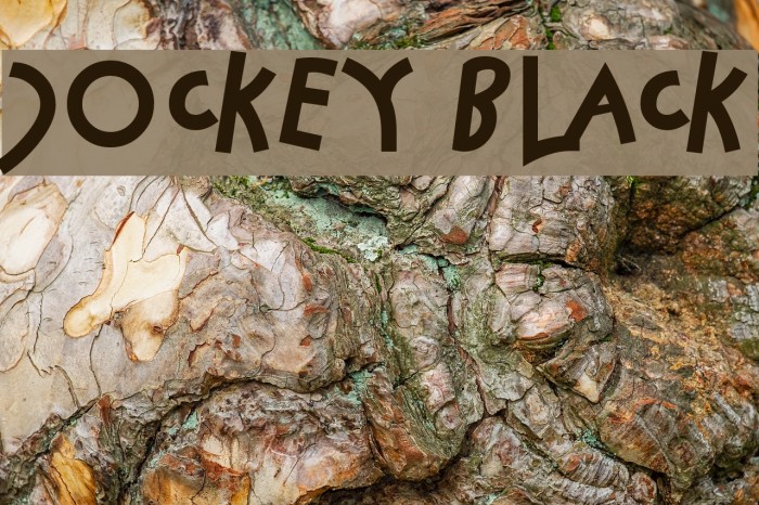 Jockey Black Example 1