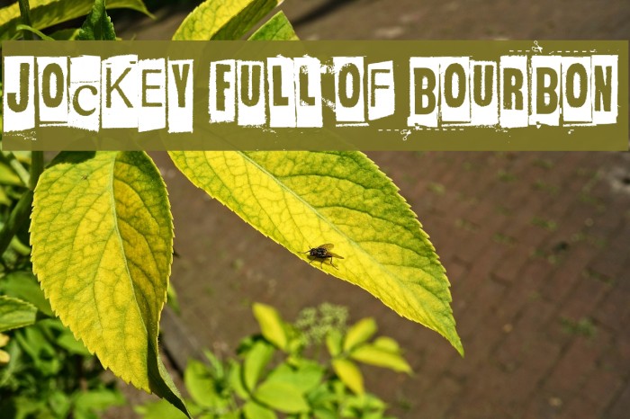 Jockey Full Of Bourbon Font examples