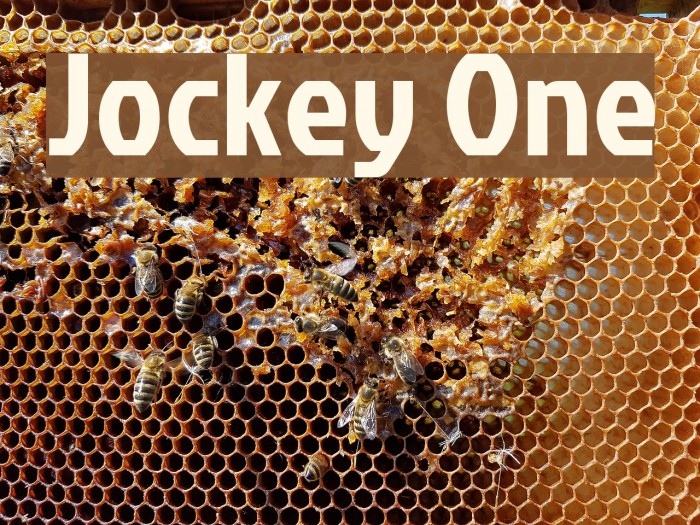 Jockey One Font examples