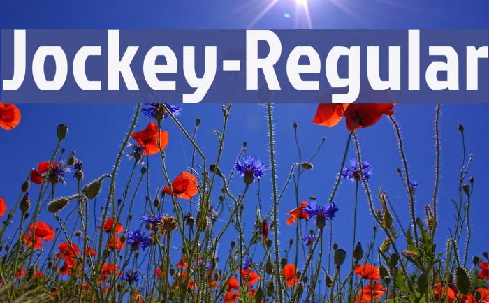 Jockey-Regular Font examples