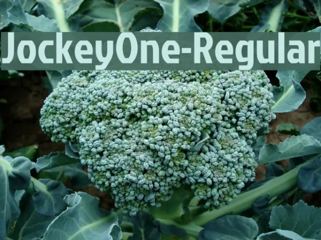 JockeyOne-Regular Example 2