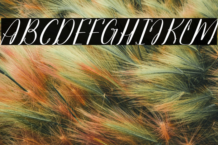 Joclin Ailanet Italic DEMO VERS Italic Example 3