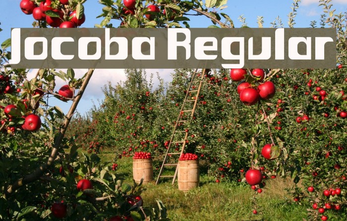 Jocoba Regular Example 2