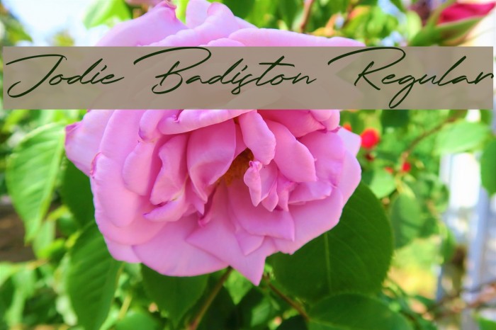 Jodie Badiston Regular Example 1