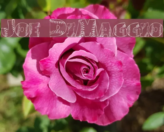Joe DiMaggio Example 2