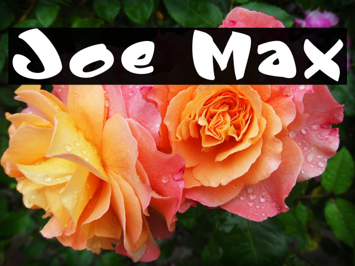 Joe Max Font examples