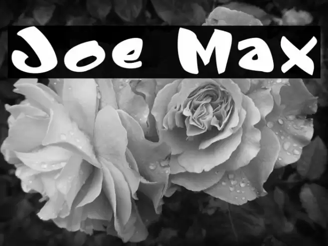 Joe Max Font examples