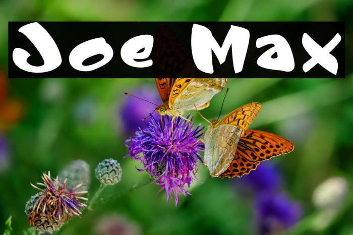 Joe Max Font examples