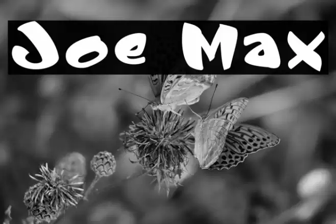 Joe Max Font examples