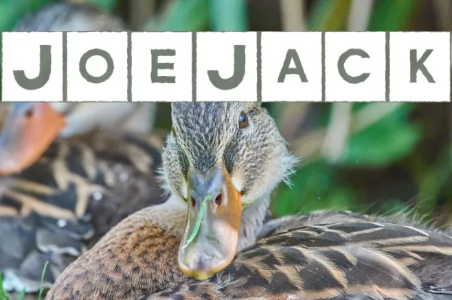 JoeJack Example 2