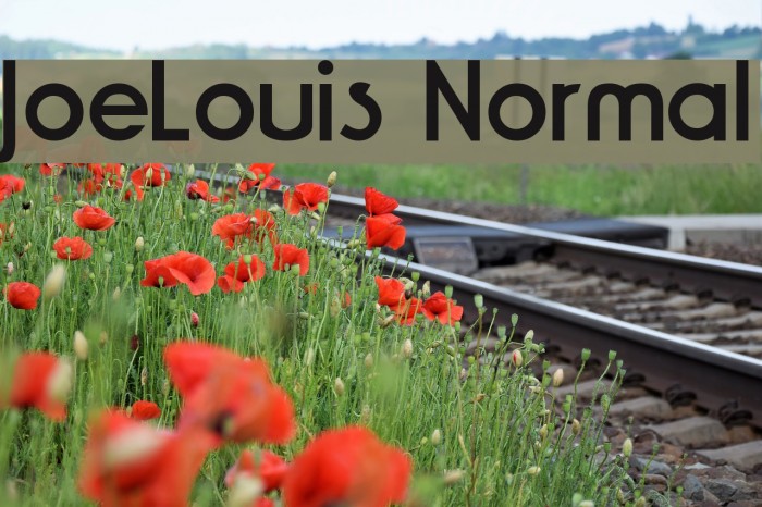 JoeLouis Normal Font examples