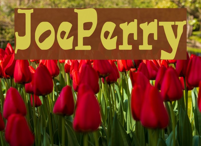JoePerry Font examples