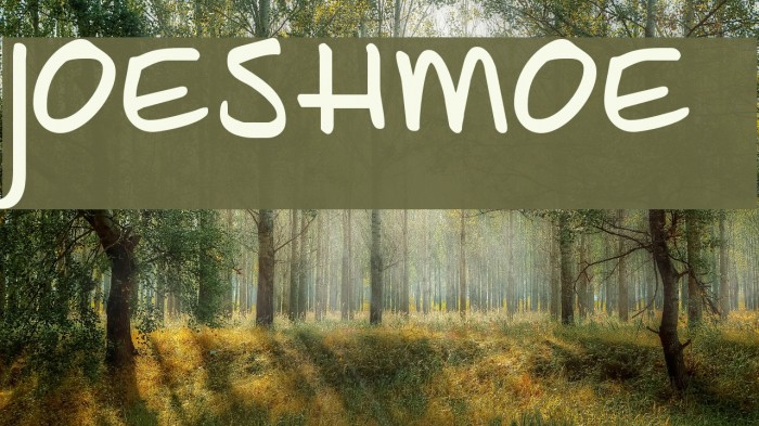 JoeShmoe Font examples