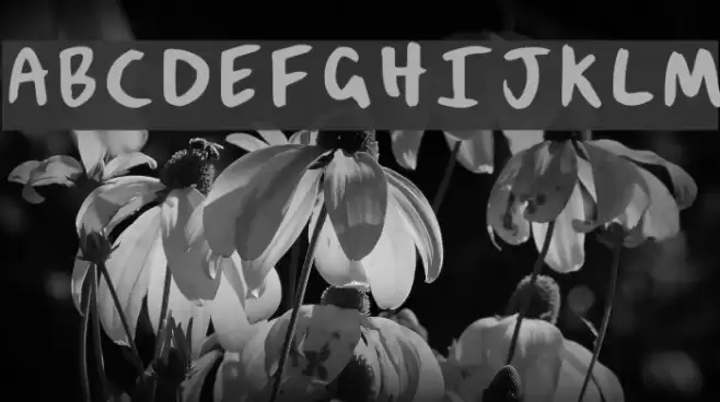 Joe_As Font examples