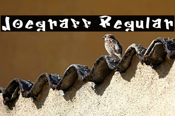 Joegraff Regular Example 3