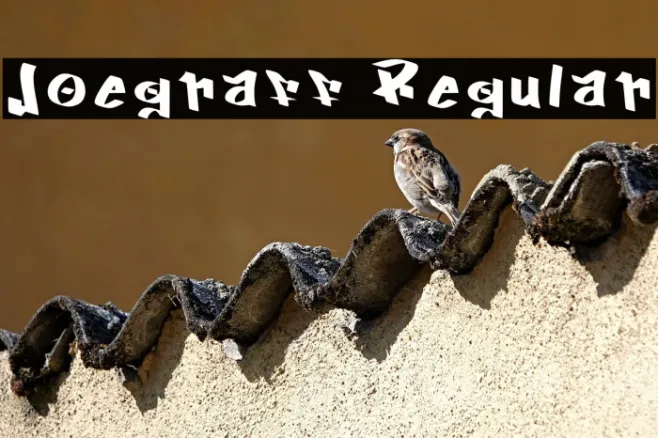 Joegraff Regular Example 3