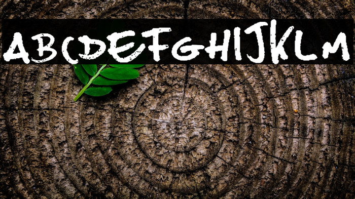 Joes Burger Example 1