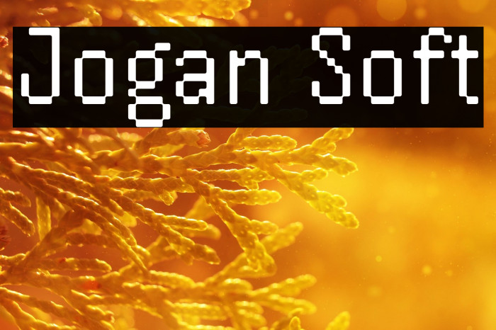 Jogan Soft Example 1