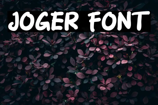 Joger Example 3