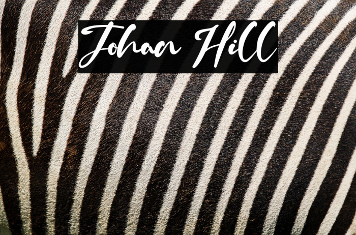 Johan Hill Example 3