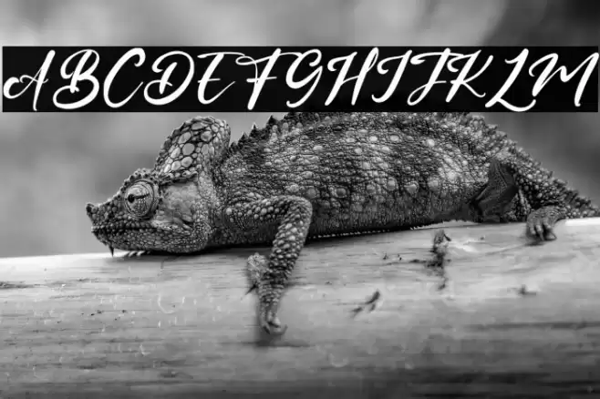 JohanHill Font examples