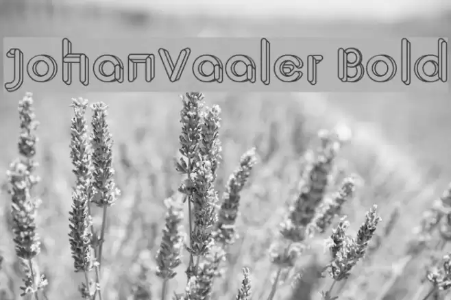 JohanVaaler Bold Font examples